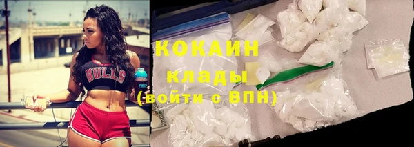 ALPHA PVP Покров