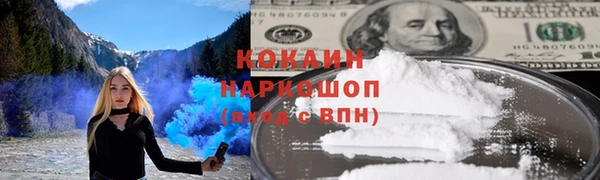 индика Покачи